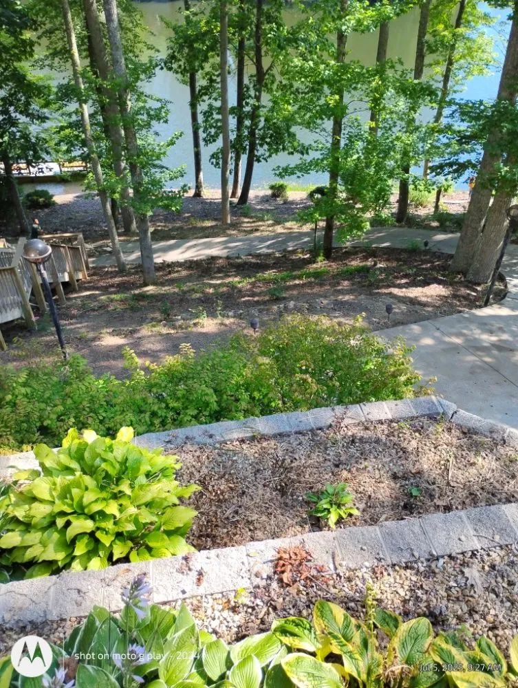 Top-rated yard cleanup service for beautiful yards in Crossville, TN by Mean Green Home Services