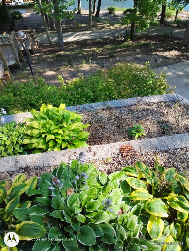 Local lawn mowing service in Crossville, TN - Mean Green Home Services