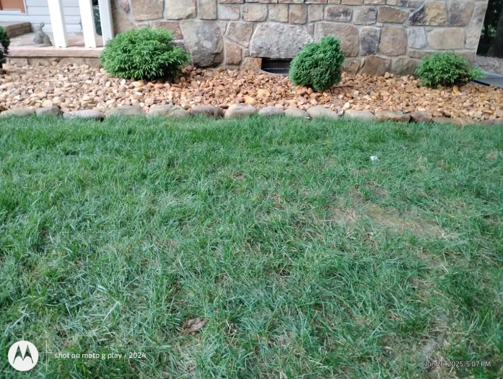 Expert lawn mowing service in Crossville, TN - Mean Green Home Services