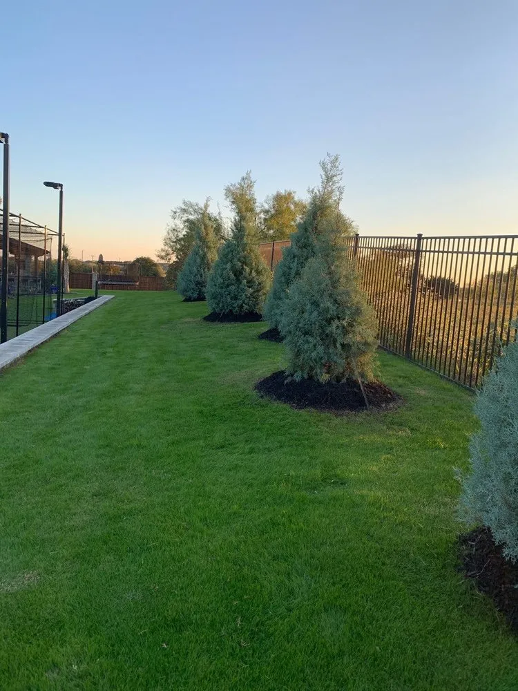 Affordable residential landscaping in White Settlement, TX - Mean Green Lawn and Landscape