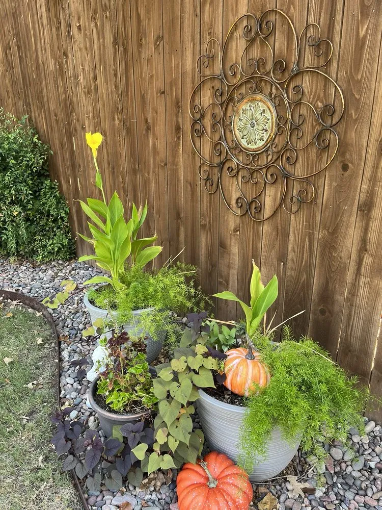 Expert landscape design experts serving White Settlement, TX - Mean Green Lawn and Landscape