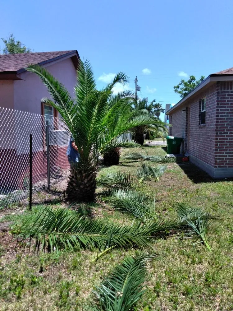Professional yard maintenance with custom design in Aransas Pass, TX by Mean Green Lawn Care & Landscaping