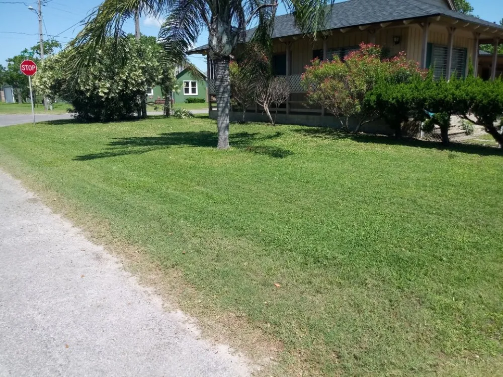 Trusted garden landscaping in Aransas Pass, TX by Mean Green Lawn Care & Landscaping
