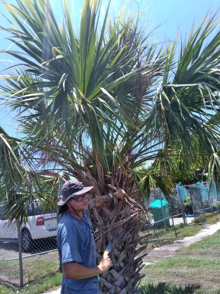 Expert lawn mowing service in Aransas Pass, TX by Mean Green Lawn Care & Landscaping