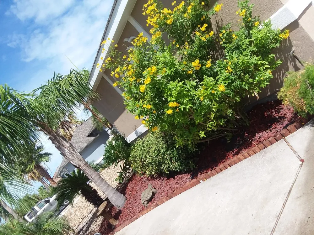 Custom residential landscaping in Aransas Pass, TX by Mean Green Lawn Care & Landscaping