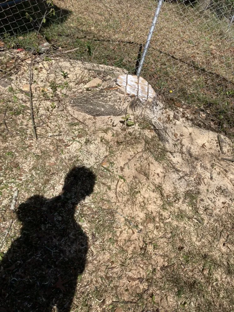 Affordable yard cleanup service experts serving Hephzibah, GA - Mean Green Lawn Care