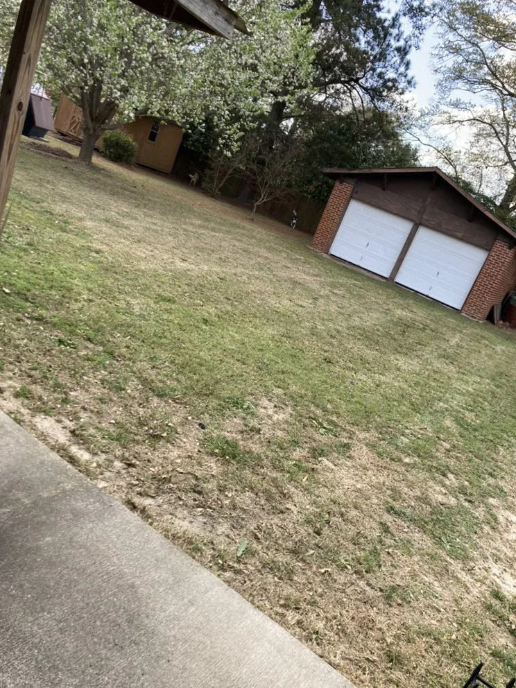 Custom lawn mowing service for outdoor upgrades in Hephzibah, GA by Mean Green Lawn Care