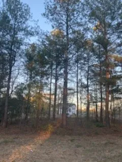 Professional landscape installation near you in Hephzibah, GA by Mean Green Lawn Care