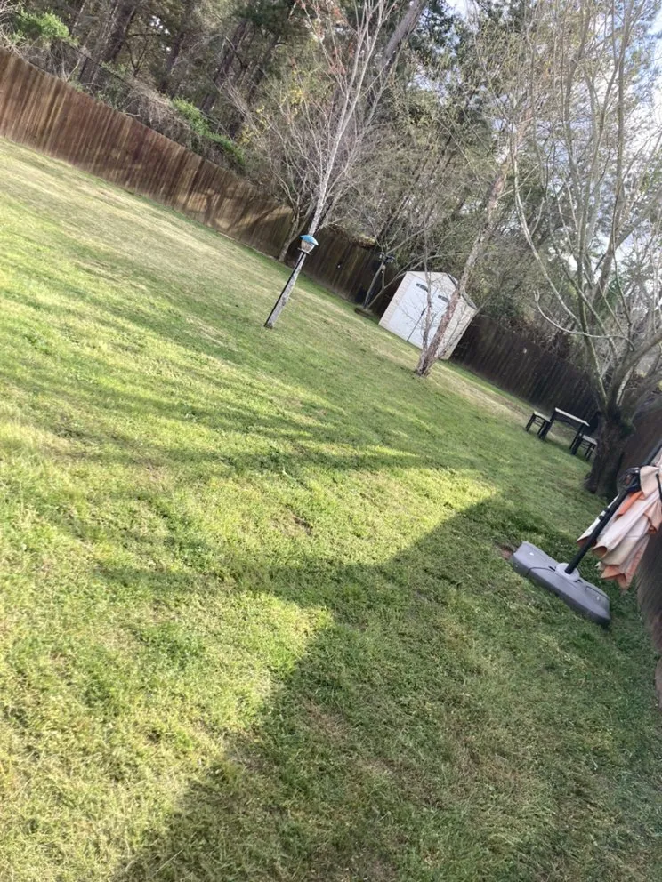 Reliable yard maintenance in Hephzibah, GA - Mean Green Lawn Care