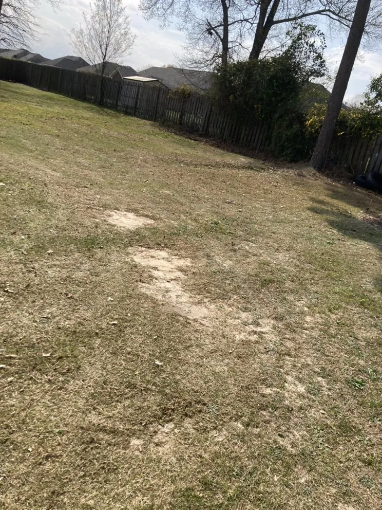 Expert residential landscaping for outdoor upgrades in Hephzibah, GA by Mean Green Lawn Care