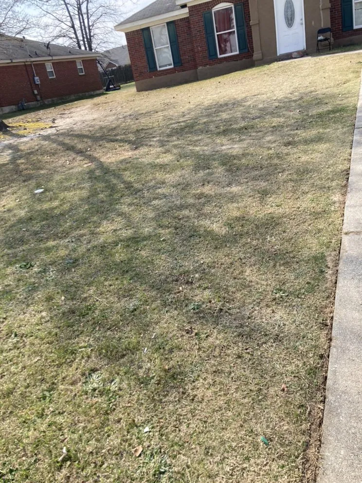 Affordable garden landscaping in Hephzibah, GA - Mean Green Lawn Care