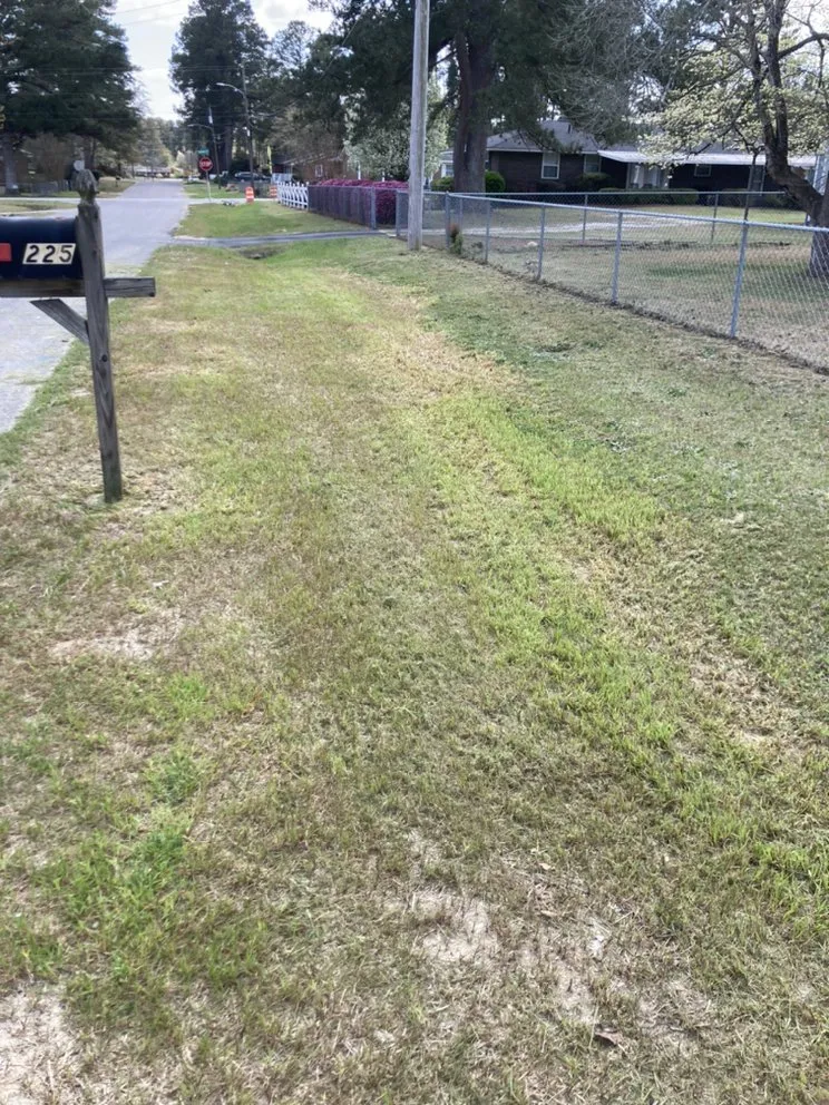 Local yard maintenance experts serving Hephzibah, GA - Mean Green Lawn Care