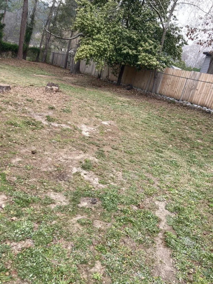 Professional outdoor landscaping experts serving Hephzibah, GA - Mean Green Lawn Care