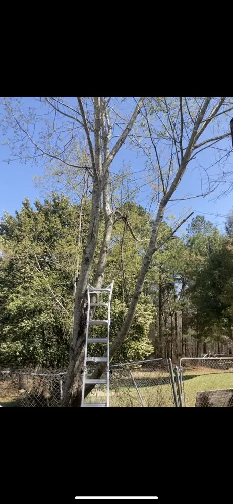 Custom garden landscaping for outdoor upgrades across Hephzibah, GA - Mean Green Lawn Care