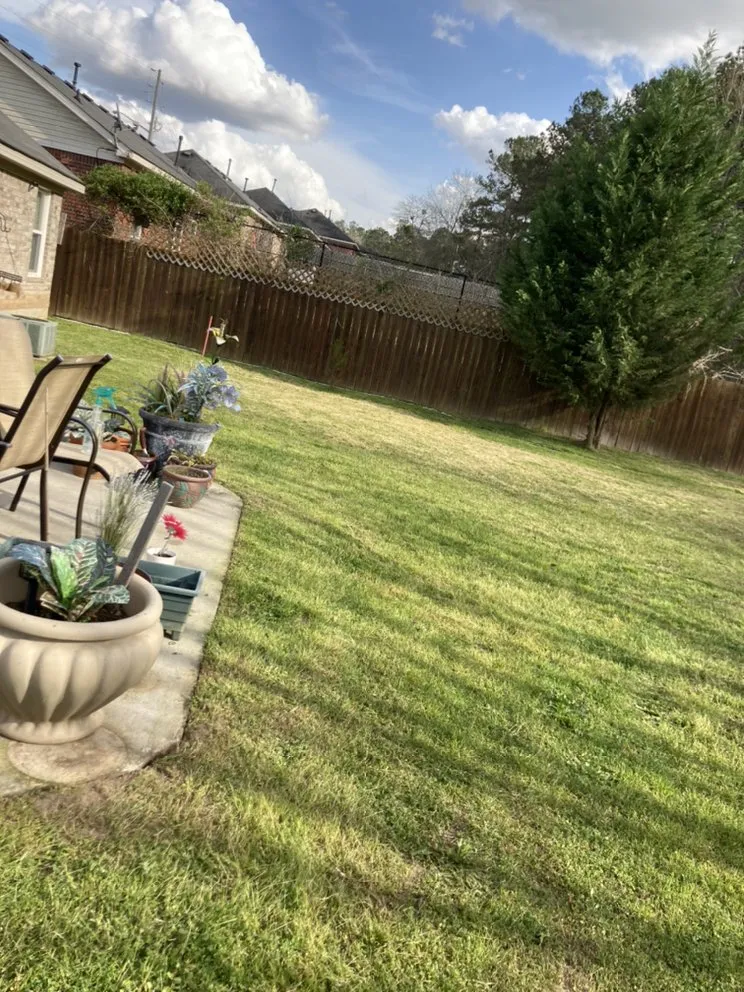 Trusted lawn care service experts serving Hephzibah, GA - Mean Green Lawn Care