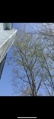 Mean Green Lawn Care