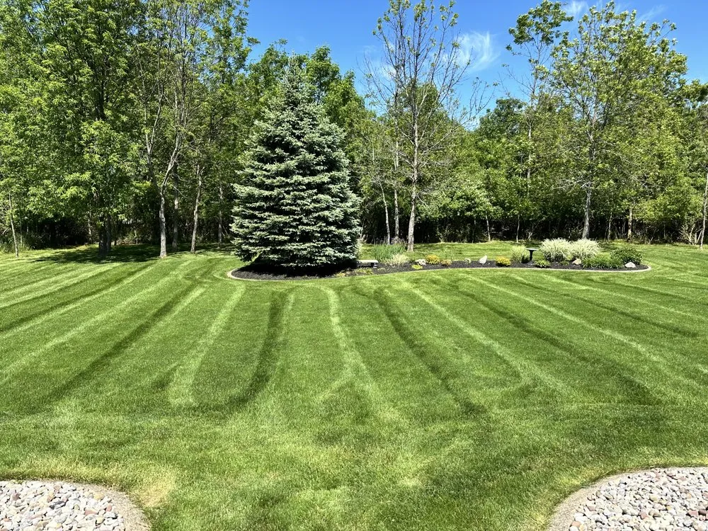 Professional landscape design in Rochester, NY by Mean Green Lawn Care