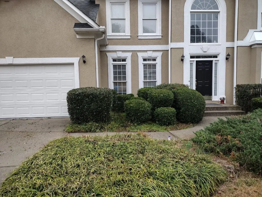 Top-rated yard cleanup service experts serving Sugar Hill, GA - Mean Green Lawn Team