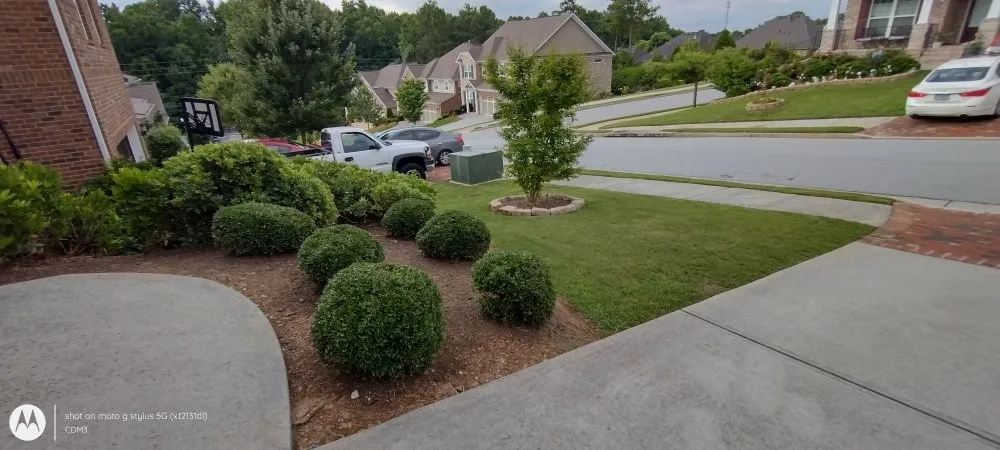 Local yard cleanup service in Sugar Hill, GA - Mean Green Lawn Team