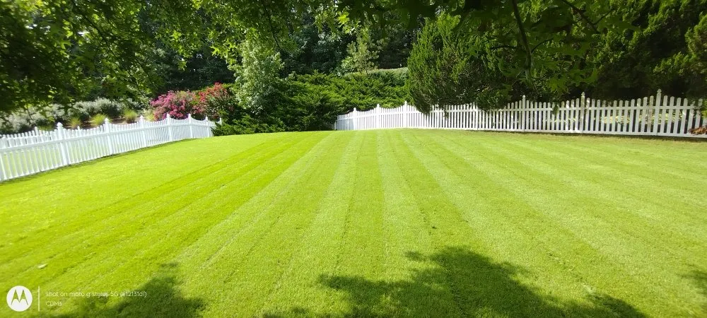 Top-rated landscape installation in Sugar Hill, GA - Mean Green Lawn Team