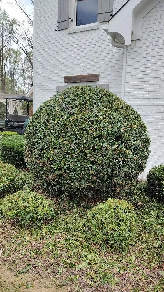 Custom garden landscaping experts serving Sugar Hill, GA - Mean Green Lawn Team