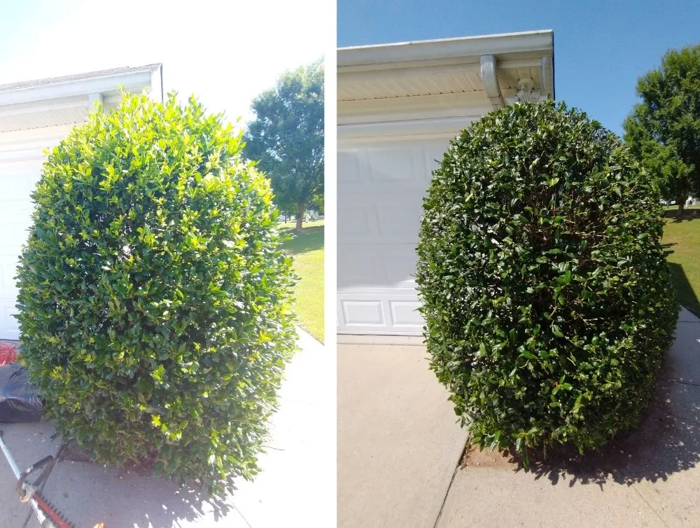 Local landscape design in Sugar Hill, GA - Mean Green Lawn Team