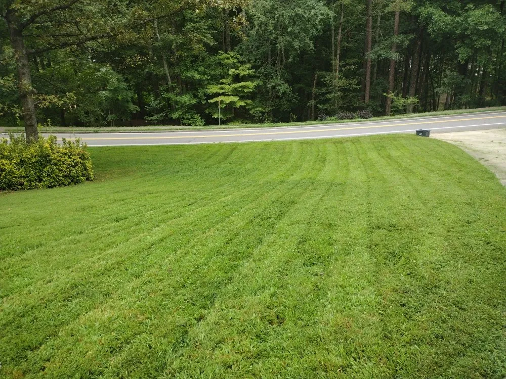 Professional landscaping services experts serving Sugar Hill, GA - Mean Green Lawn Team