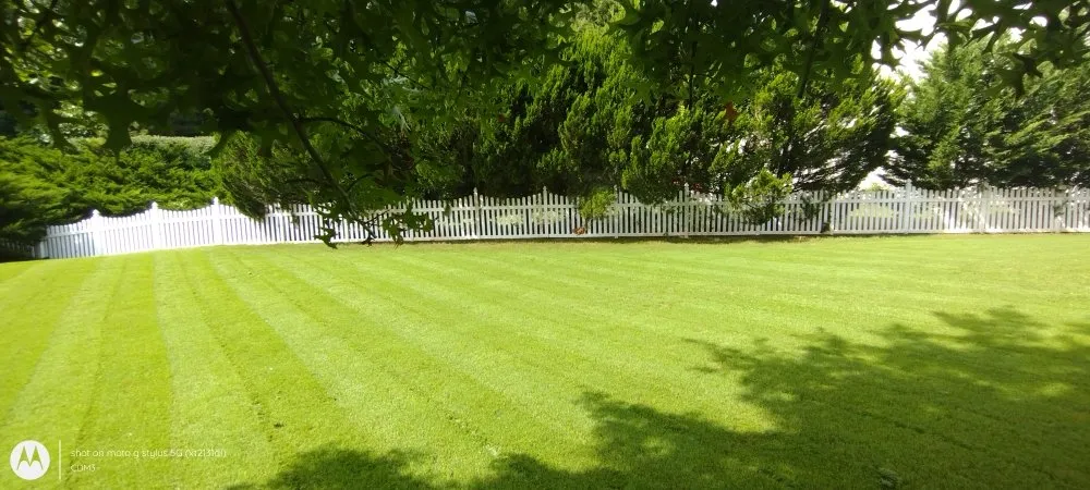 Affordable lawn care service in Sugar Hill, GA by Mean Green Lawn Team