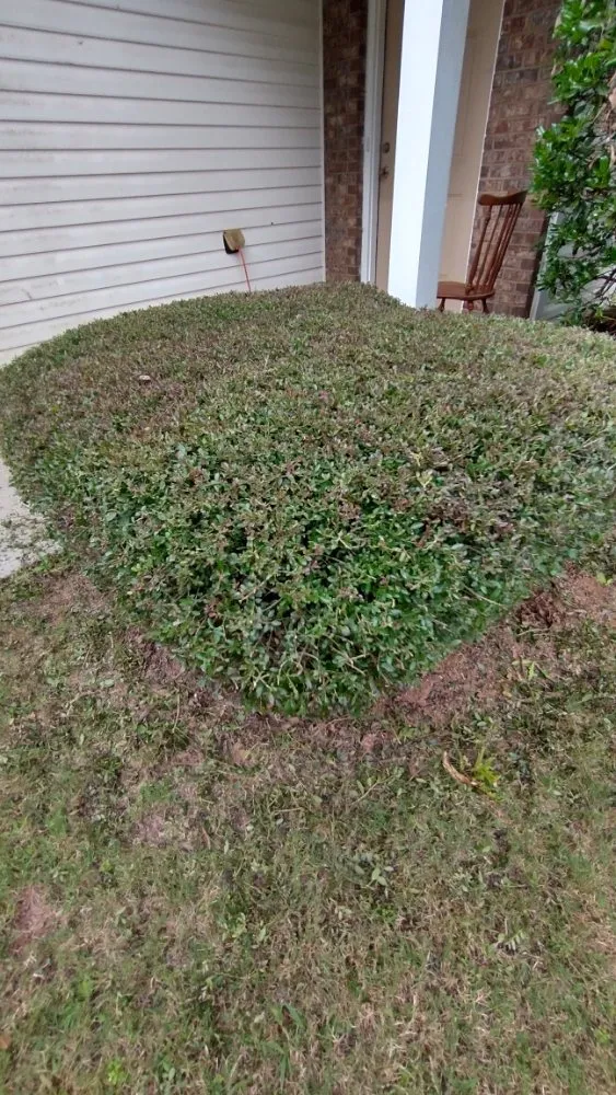 Reliable landscape design for beautiful yards across Sugar Hill, GA - Mean Green Lawn Team