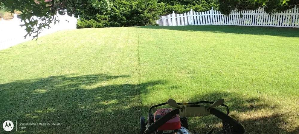 Custom garden landscaping in Sugar Hill, GA - Mean Green Lawn Team
