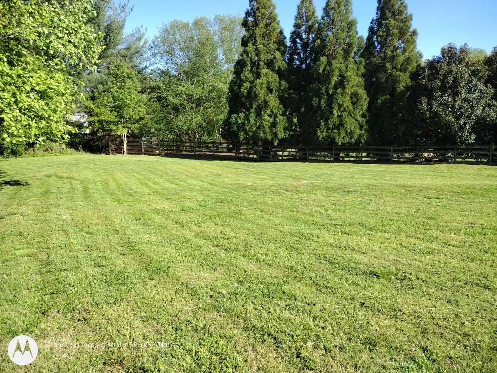 Professional garden landscaping in Sugar Hill, GA - Mean Green Lawn Team