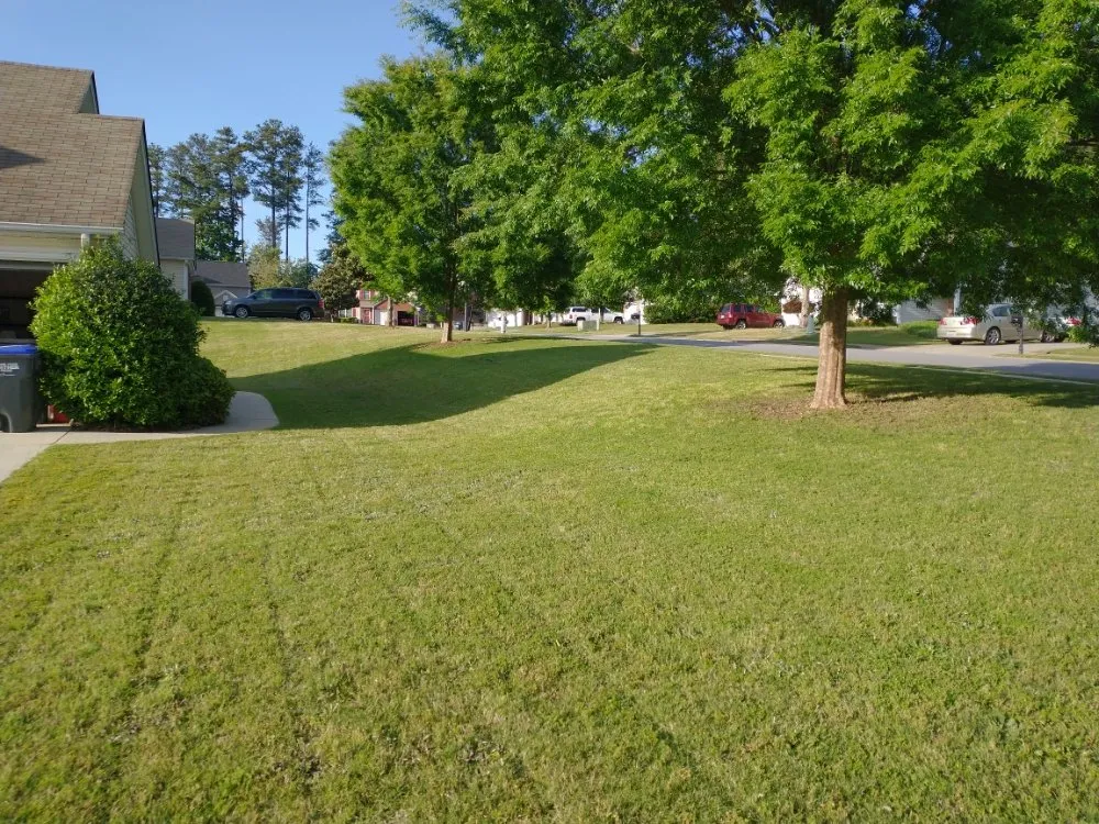 Custom yard cleanup service experts serving Sugar Hill, GA - Mean Green Lawn Team