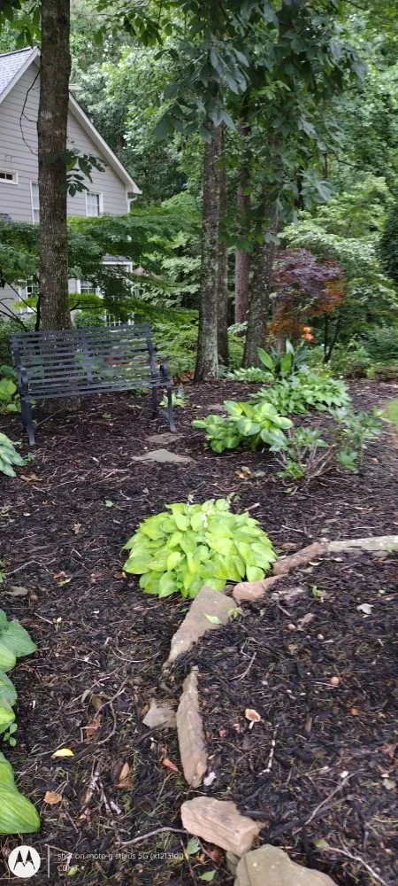 Local yard cleanup service in Sugar Hill, GA by Mean Green Lawn Team