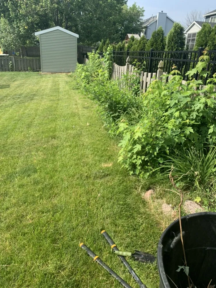 Local lawn care service in Davenport, IA - Mean Green Lawncare