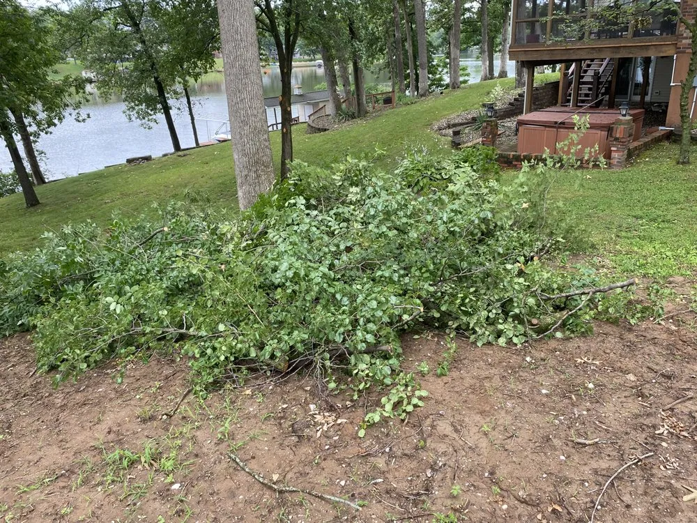 Professional lawn care service experts serving Springfield, IL - Mean Green Mowers