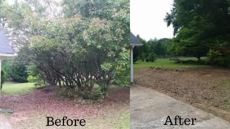 Top-rated lawn mowing service for year-round maintenance across Springfield, IL - Mean Green Mowers