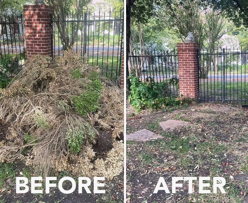 Reliable residential landscaping in Springfield, IL by Mean Green Mowers