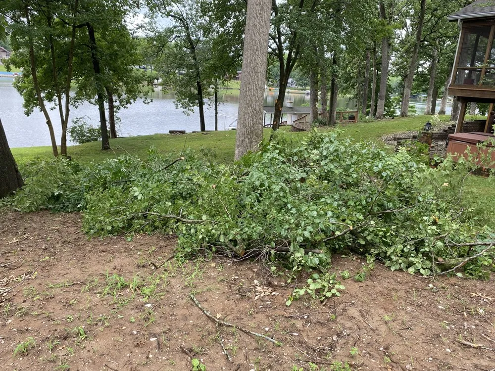 Professional garden landscaping near you across Springfield, IL - Mean Green Mowers