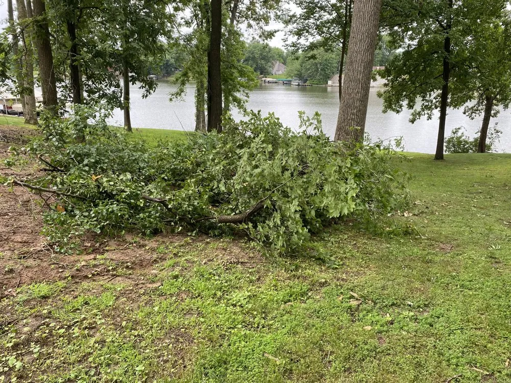 Affordable lawn mowing service for homes in Springfield, IL by Mean Green Mowers