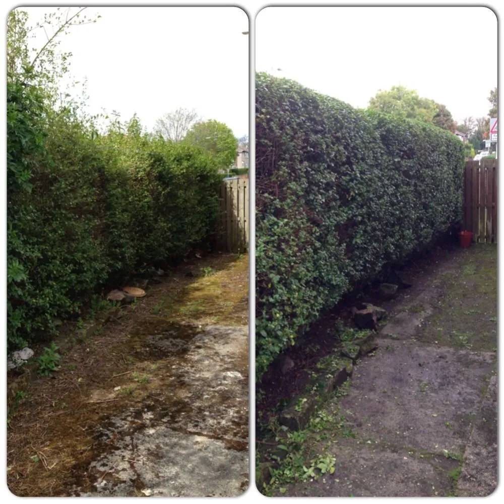 Top-rated yard maintenance with custom design across Springfield, IL - Mean Green Mowers