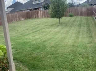 Mean Green Mowing and Landscape