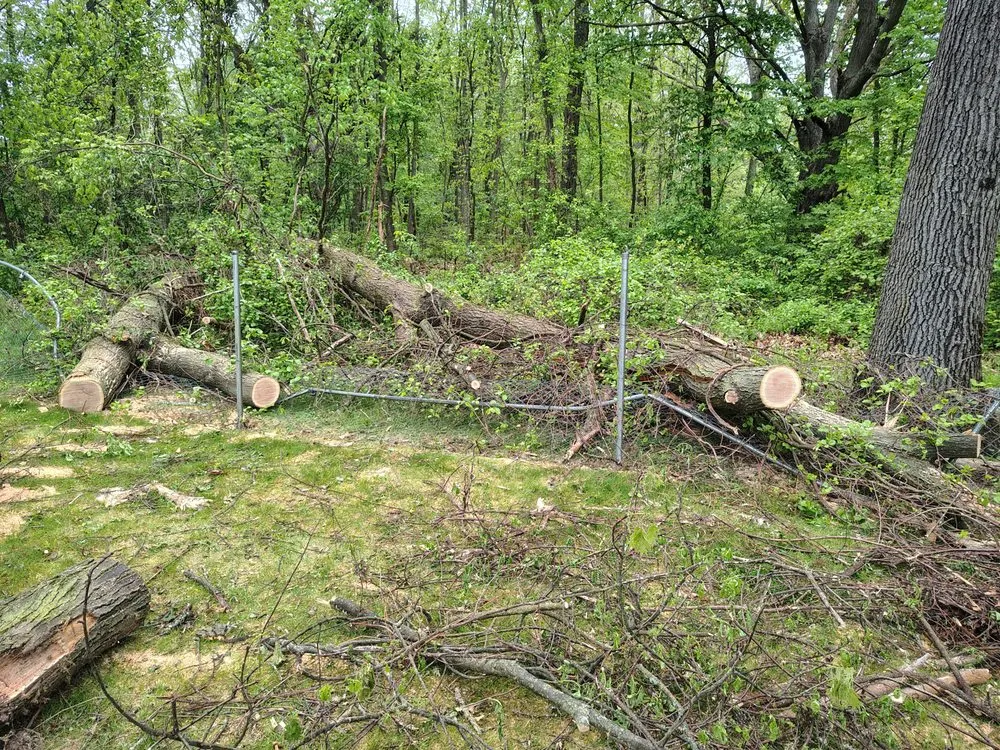 Custom landscape design for year-round maintenance in Ortonville, MI by Mean Green Tractor