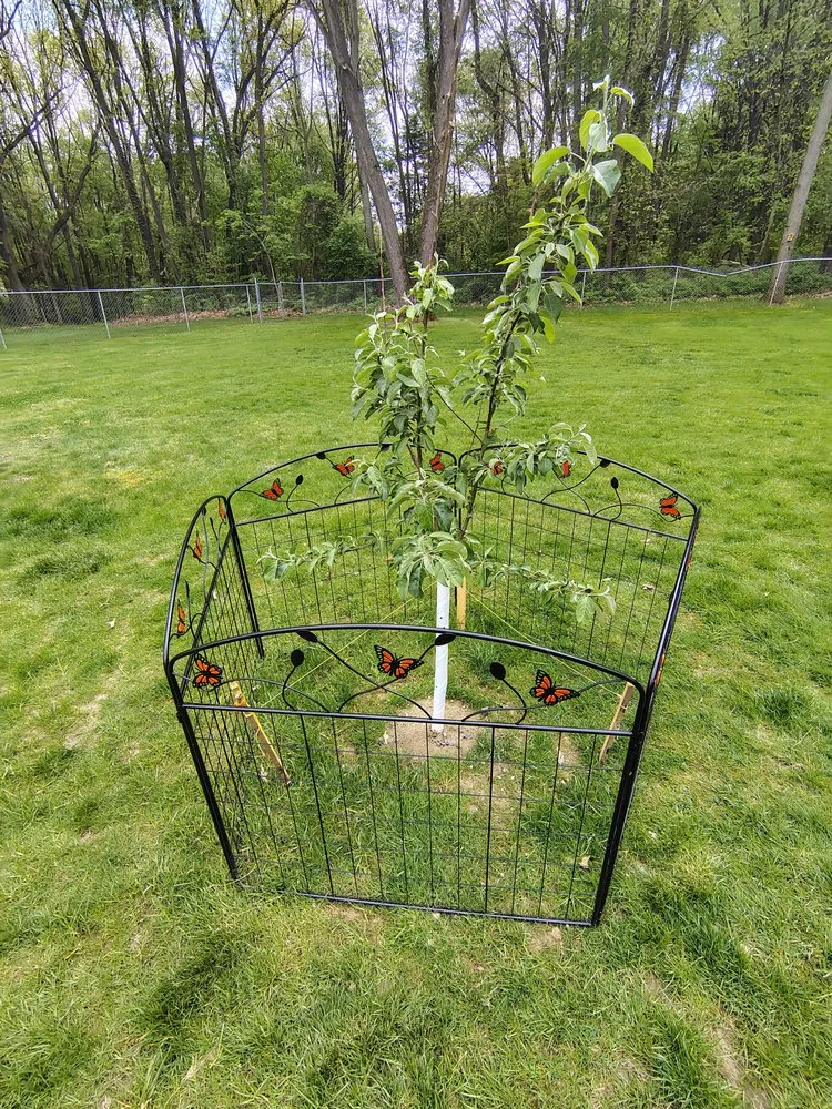 Trusted yard cleanup service experts serving Ortonville, MI - Mean Green Tractor