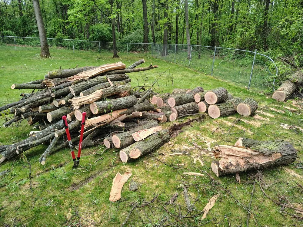 Local outdoor landscaping in Ortonville, MI - Mean Green Tractor
