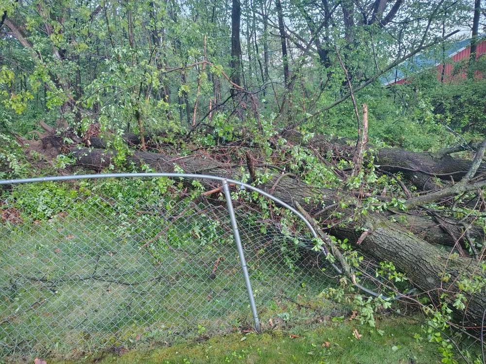 Local yard cleanup service experts serving Ortonville, MI - Mean Green Tractor
