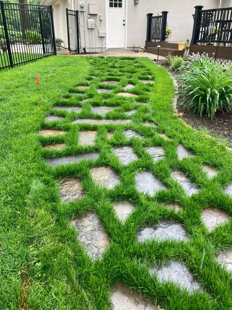 Custom yard cleanup service for year-round maintenance in Merriam, KS by Mears Lawn & Landscape
