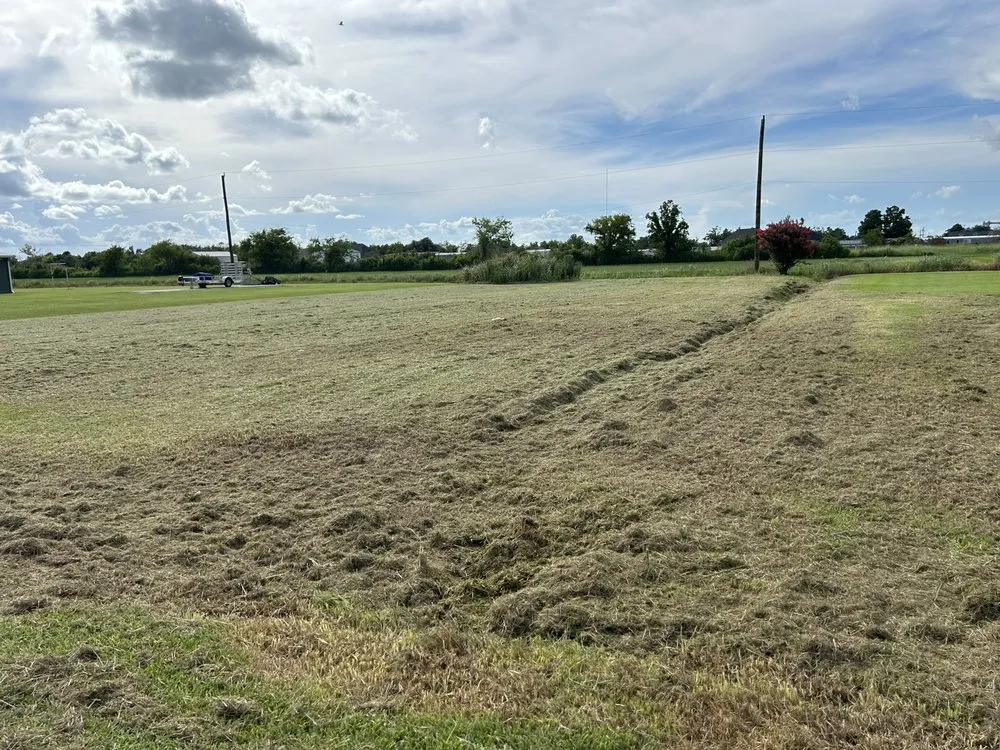 Affordable yard maintenance with custom design across Galliano, LA - Mears Lawn Care Services