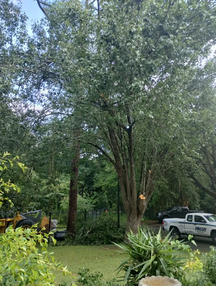 Reliable landscape design for year-round maintenance across Cairo, GA - Mears Tractor Services