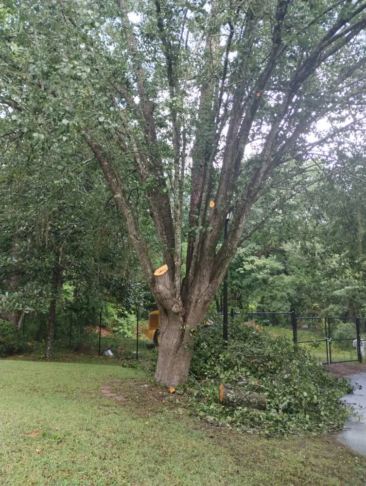 Reliable landscape design experts serving Cairo, GA - Mears Tractor Services