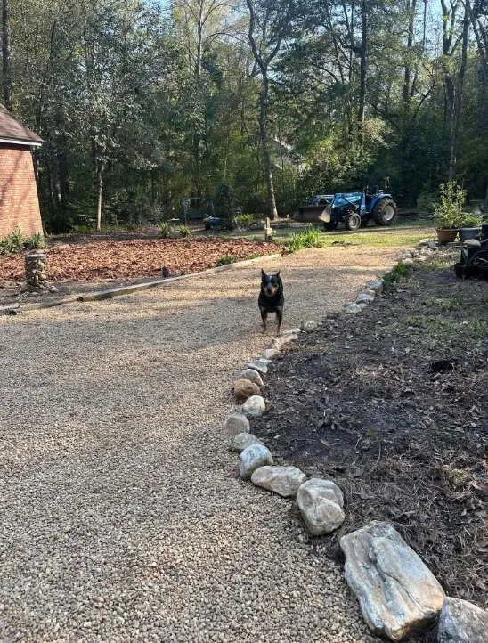 Professional landscaping services in Cairo, GA by Mears Tractor Services